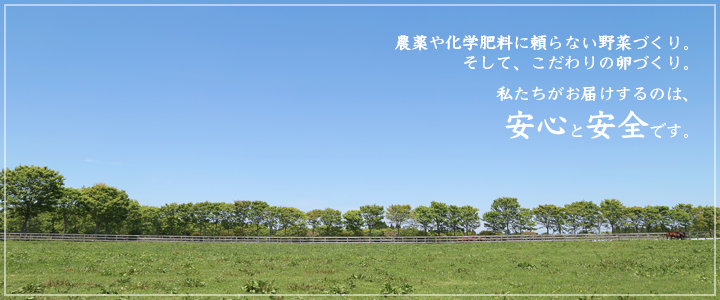 無農薬、無化学肥料で育てられた東北牧場の野菜と卵のオンラインショップ
